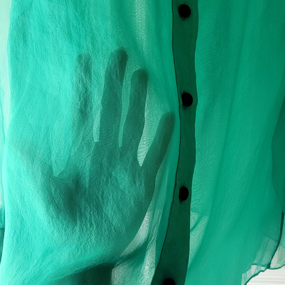 Zara Teal Sheer Blouse with Bow - Picture 5 of 5